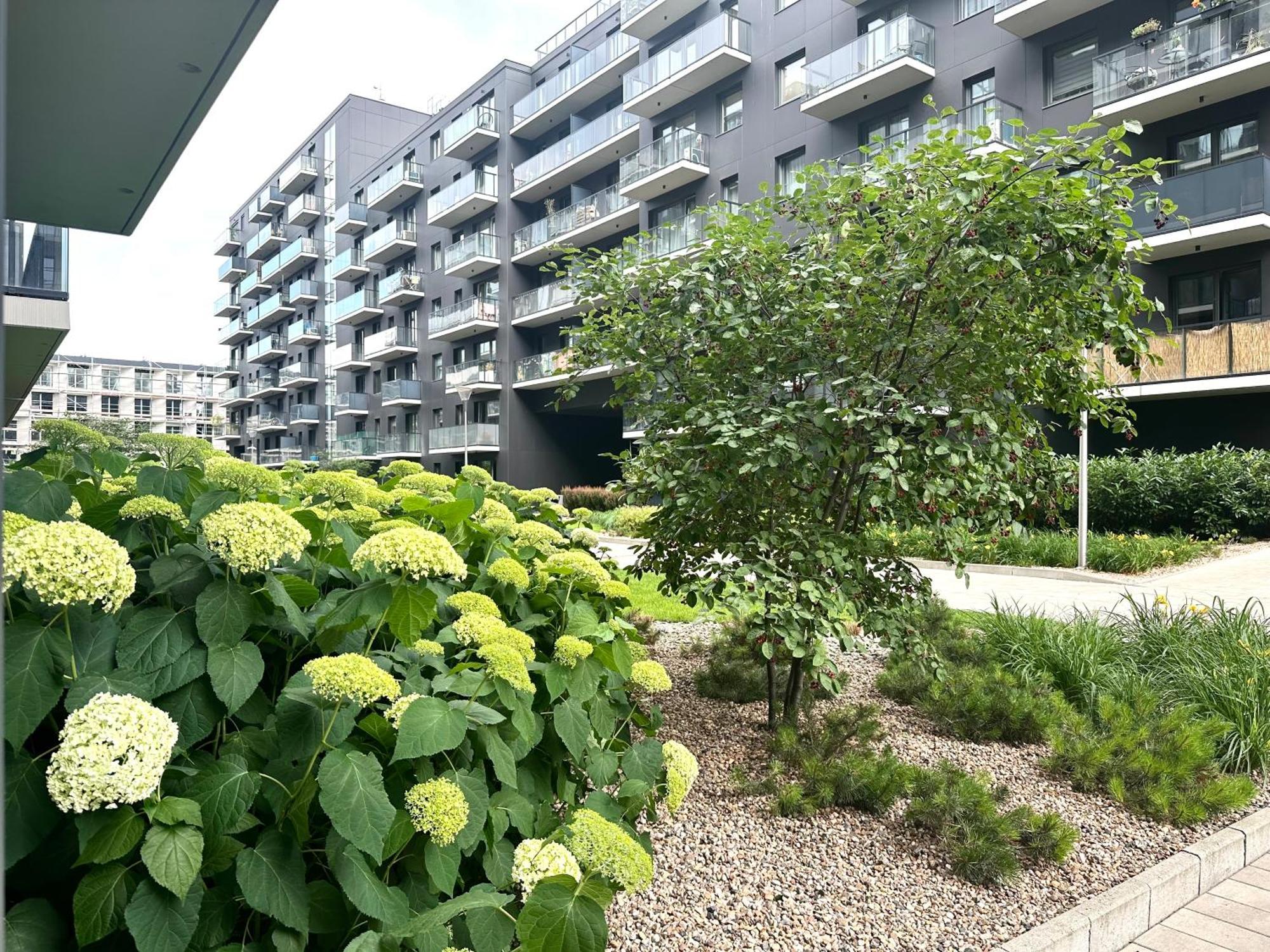 Mieszczanska 25 Apartment - Self Check-In 20H - Parking & Lift Vratislav Exteriér fotografie